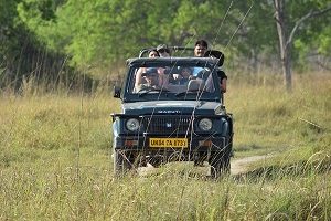 safari-whatsapp-greeting-image